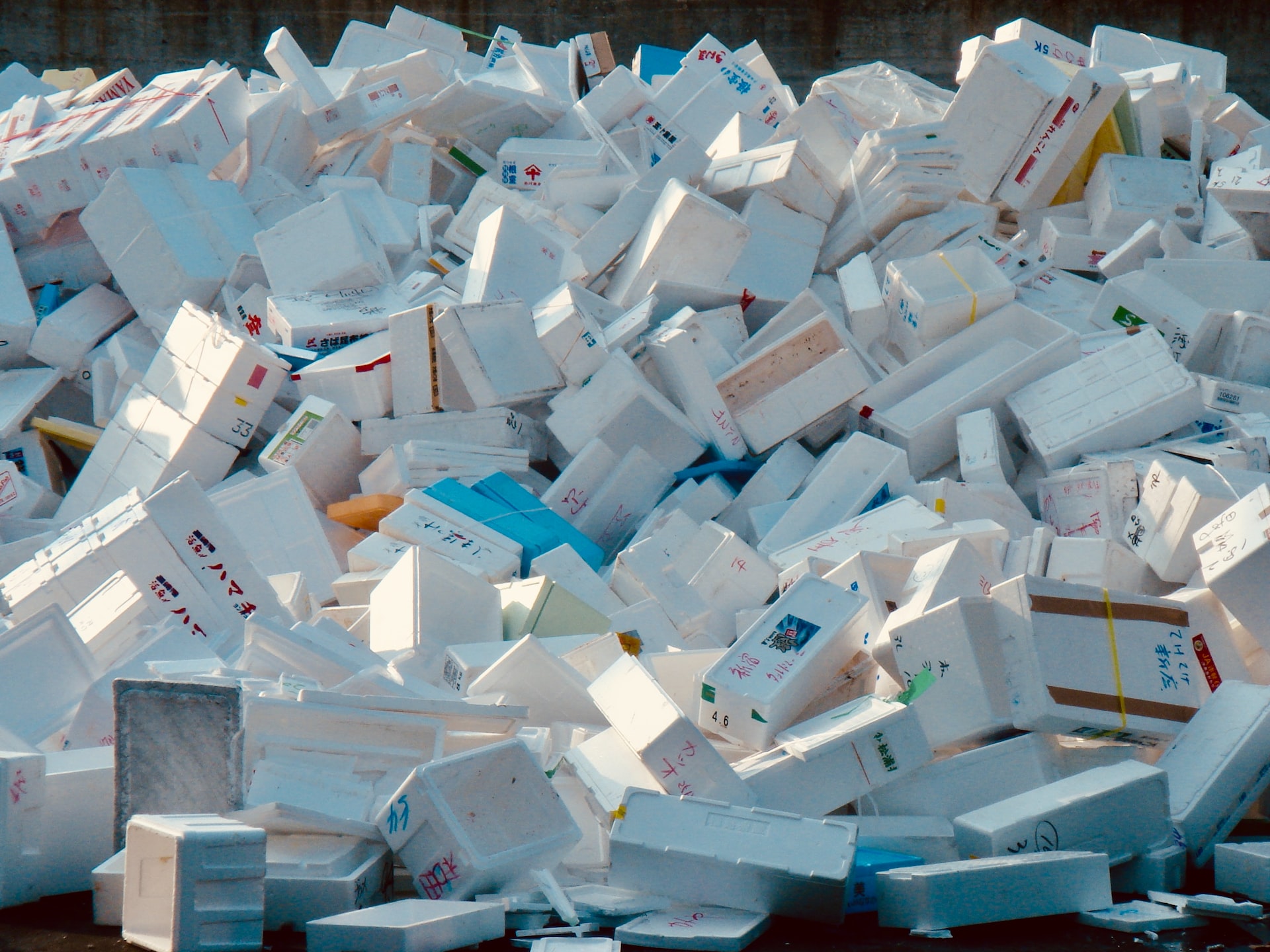 Styrofoam boxes in a landfill