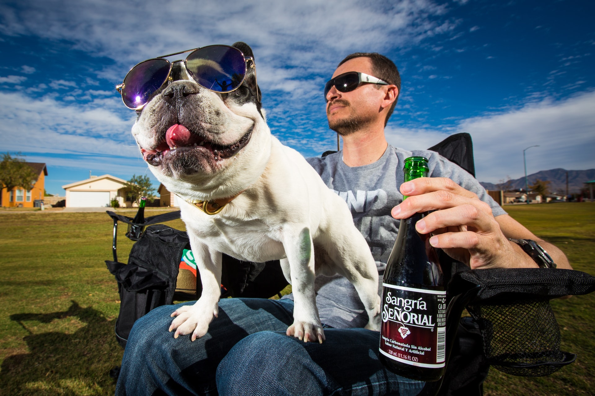 Man with dog enjoying non-alcoholic wine