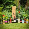 12-Pack Small Bottle Hexabox Shipper Kit - Image 2