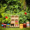Standard Candle and Jar Shipper Kit